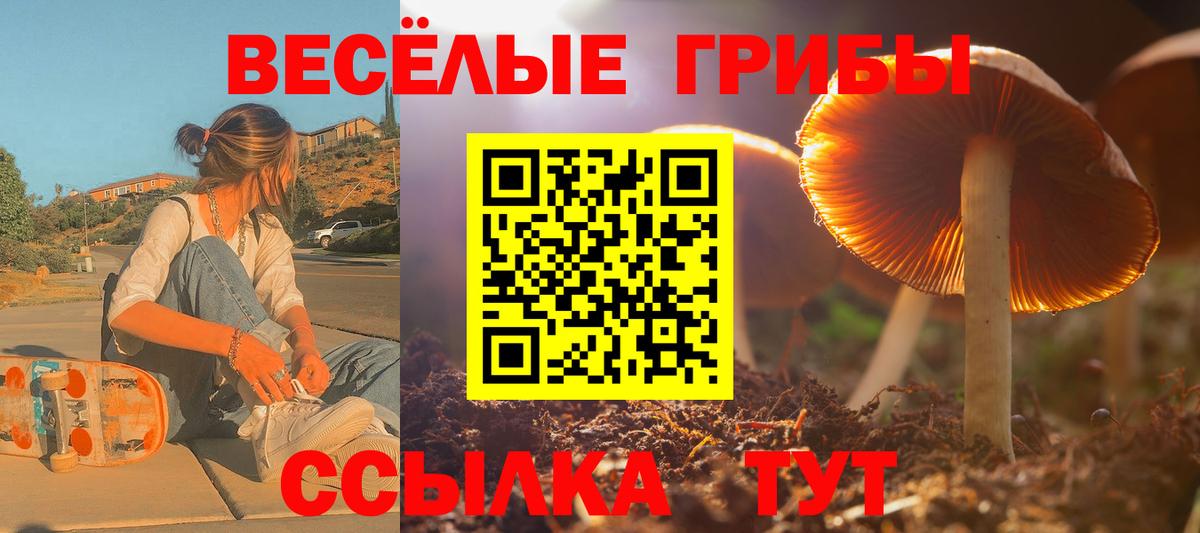 Галлюциногенные грибы GOLDEN TEACHER Подольск