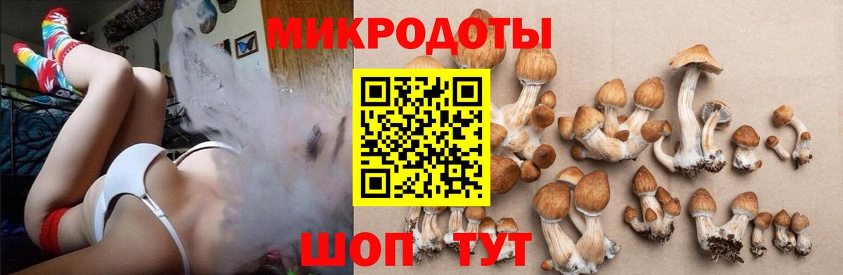 Подольск  Галлюциногенные грибы Cubensis  Вход с VPN  Галлюциногенные грибы мицелий 